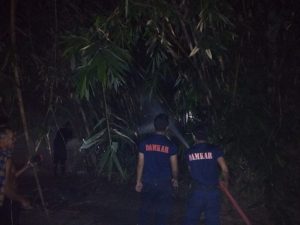 Kebakaran Rimbunan Pohon Bambu