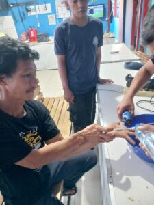Pelepasan cincin