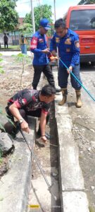 Evakuasi Ular Yang Berada di Selokan