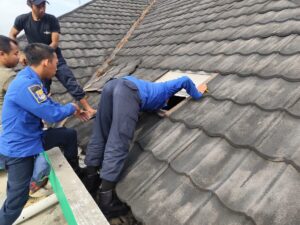 Evakuasi Kucing Naik ke Atas Plafon