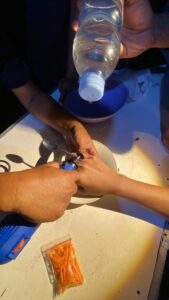 Pelepasan Cincin