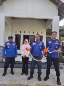 Evakuasi Ular di Atap Rumah