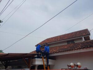 Evakuasi Hewan Kucing