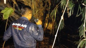 Kebakaran Rumpun Bambu