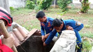 Evakuasi Bangkai Kucing di dalam Sumur