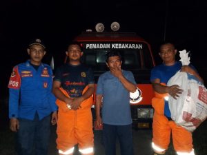 Evakuasi Sarang Tawon