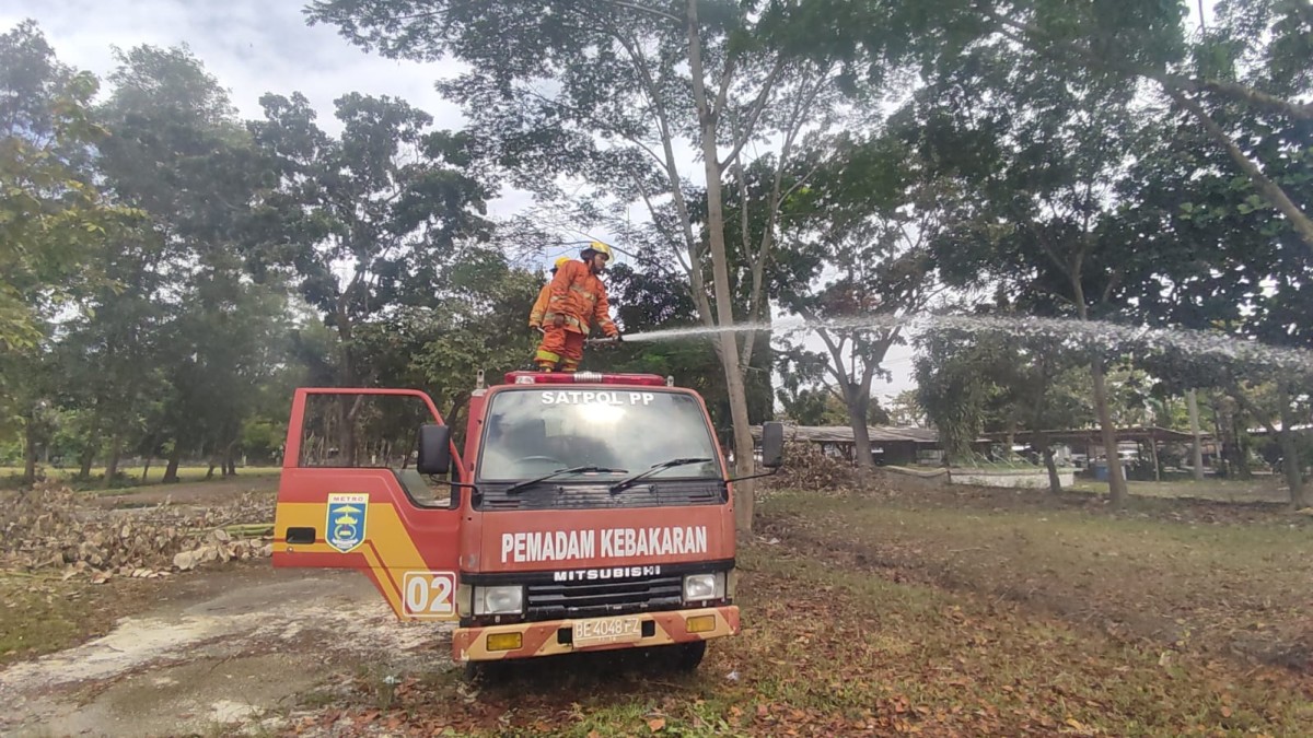 Kebakaran Tumpukan Kayu dan Dedaunan