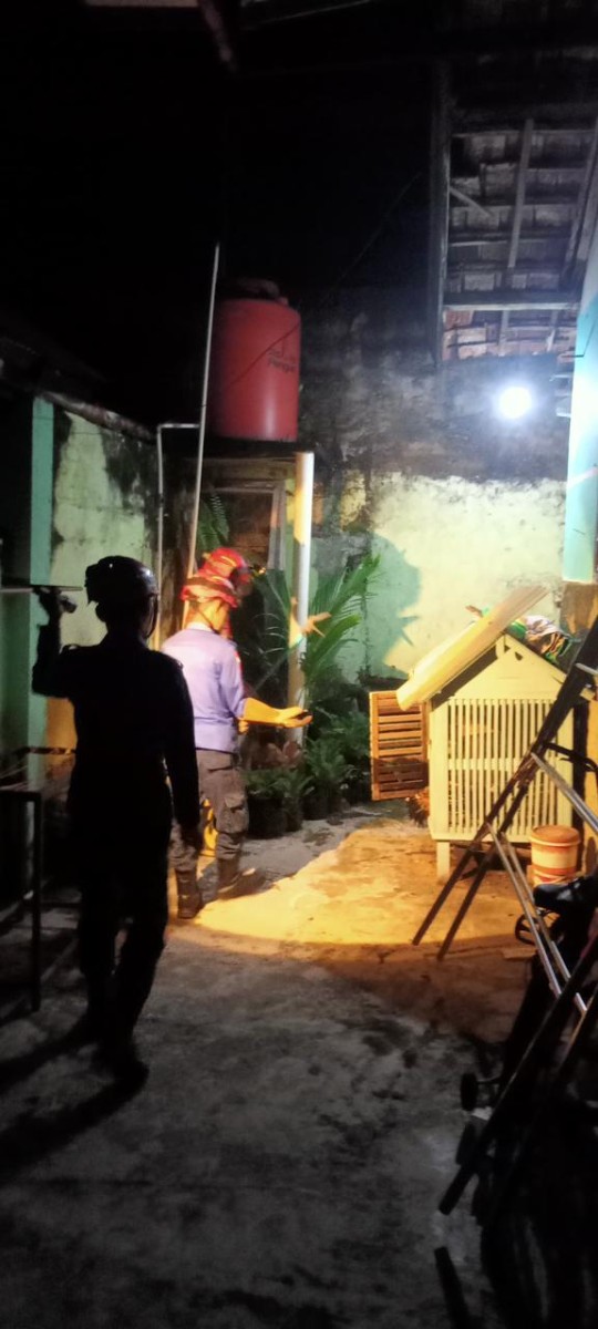 Evakuasi Ular di Kandang Ayam