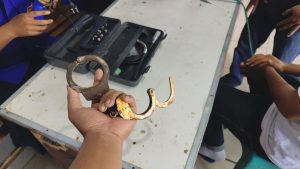 Evakuasi Borgol di Tangan