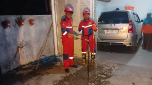Evakuasi Ular Cobra