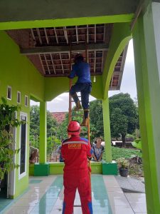 Evakuasi Ular di Atap Rumah