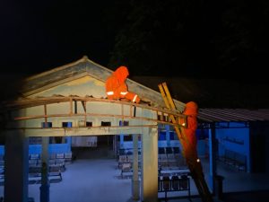 Evakuasi Sarang Tawon